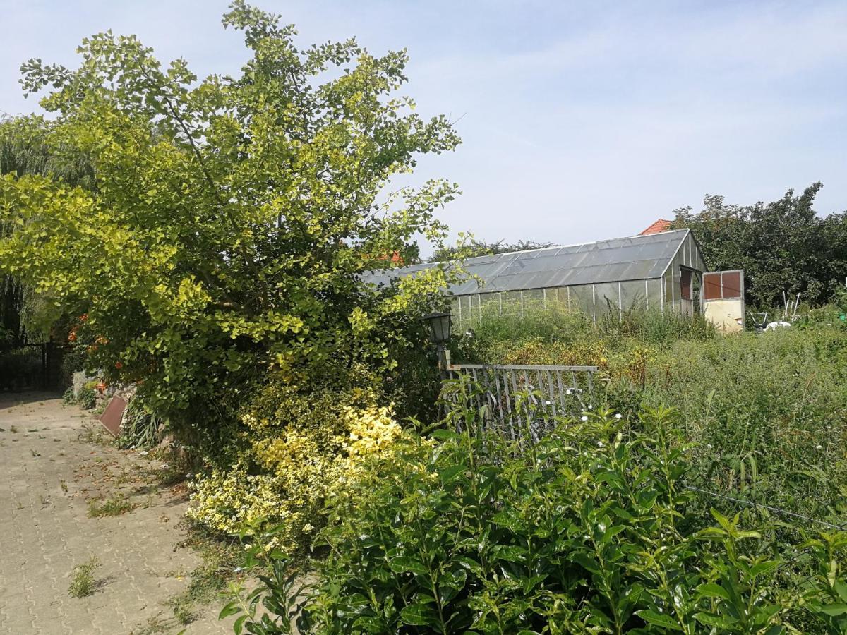 Apartamento Jennys Hofladen Usedom Town Exterior foto